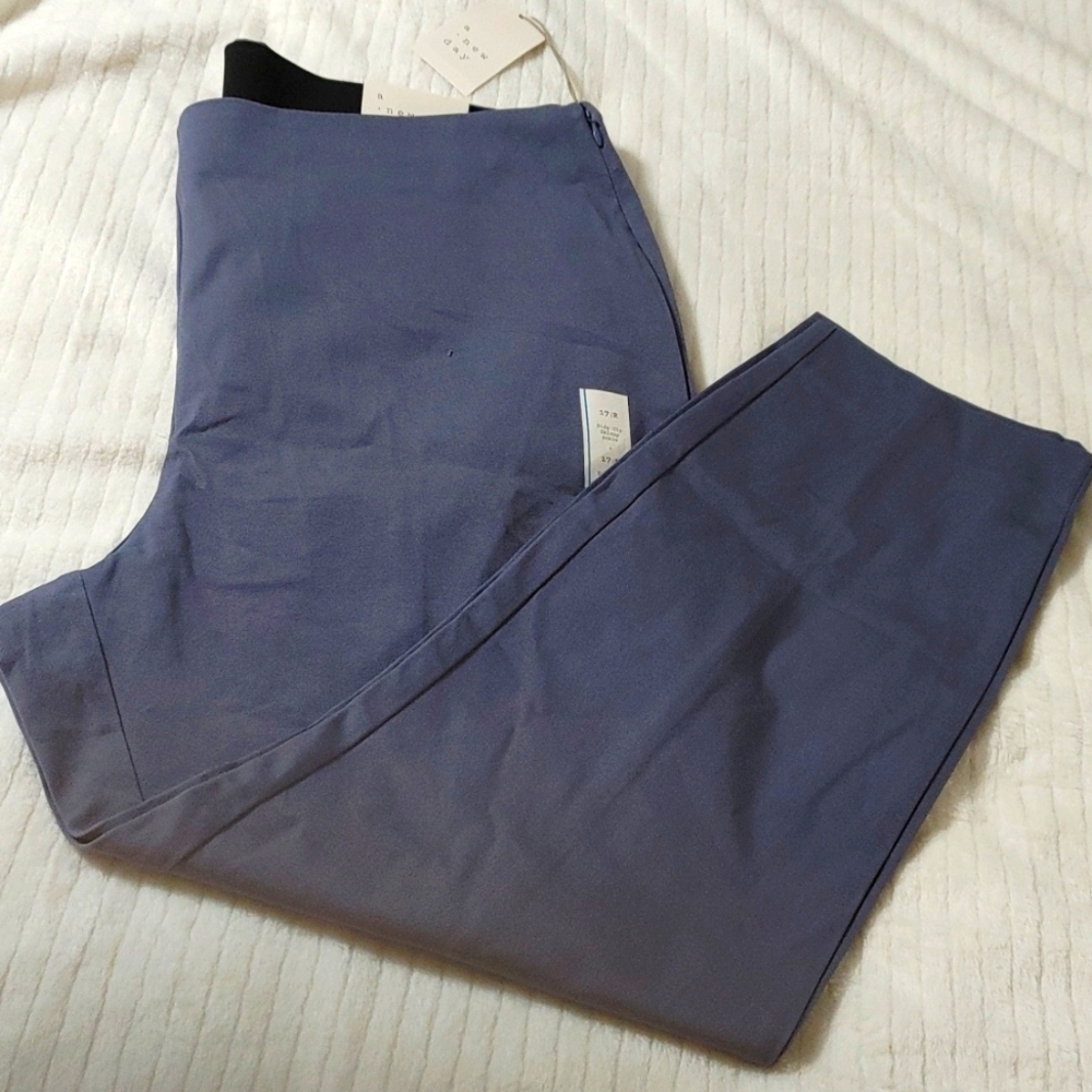 A new day skinny ankle high-rise stretch size 17/R And 8/R NWT.